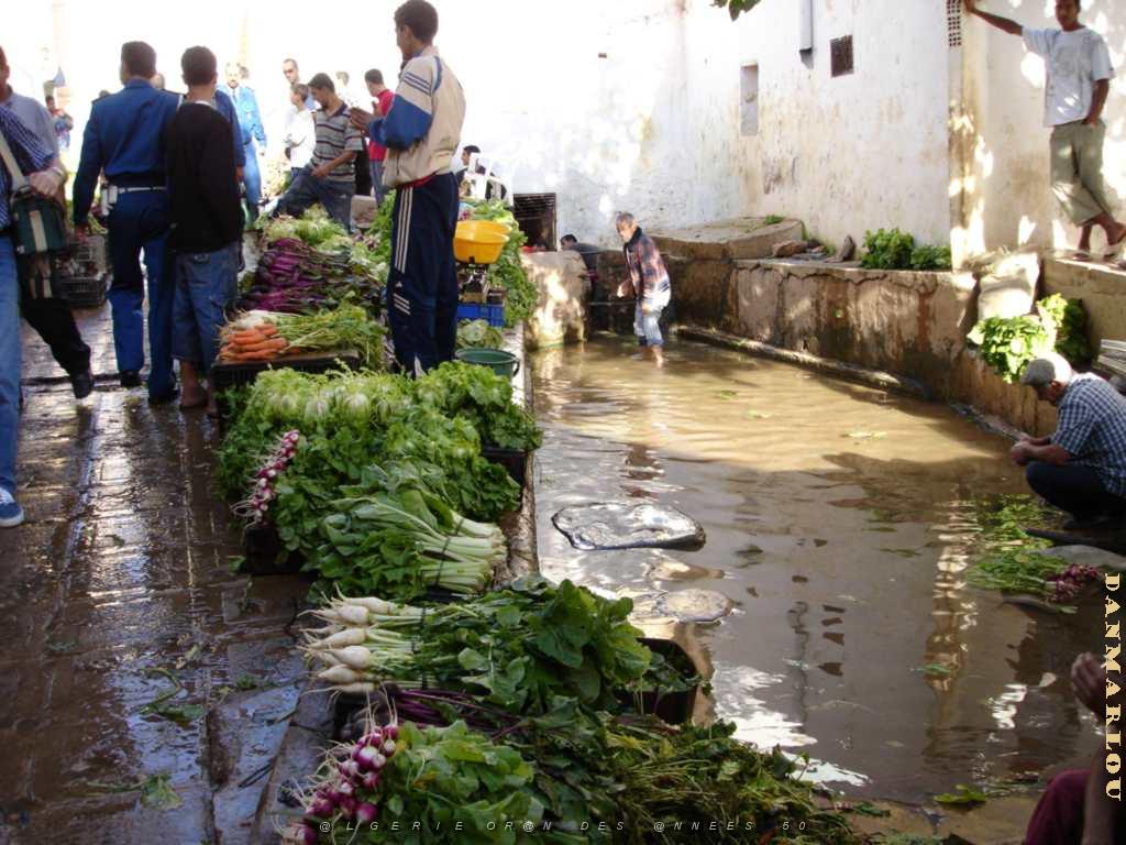 ORAN 10 2005 124 CHRYSTEL LE MARCHE ET SA SOURCE.JPG